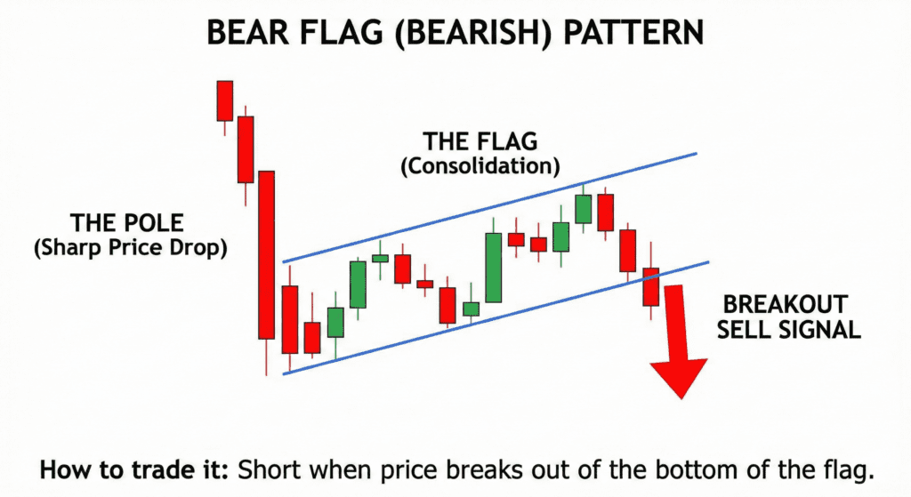 crypto trading for beginners