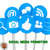 Social Media subscribers