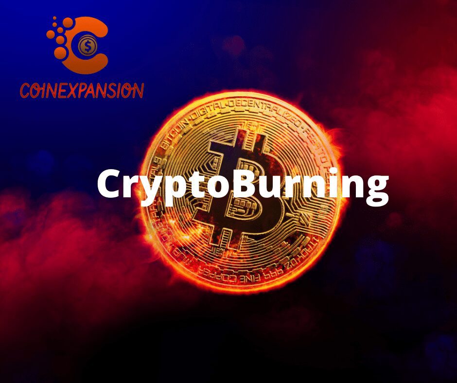 cryptocurrency burning