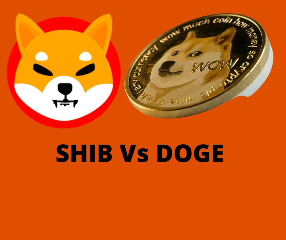 Shiba Inu