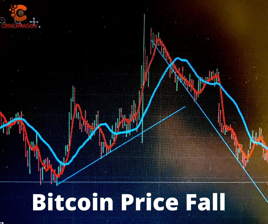 bitcoin fell
