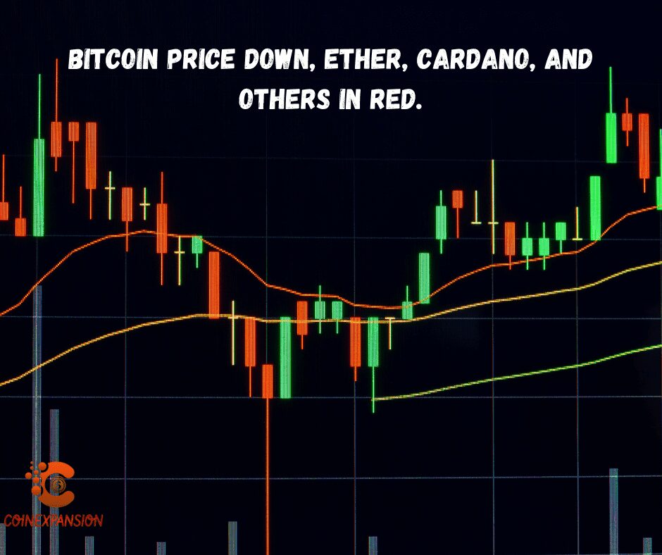 cryptocurrency market Down