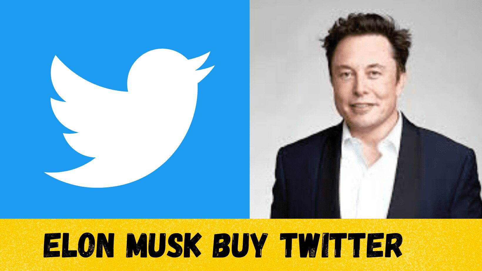 Elon buys twitter