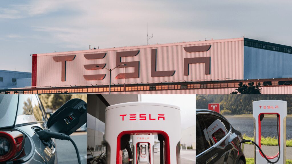 Tesla Car owner