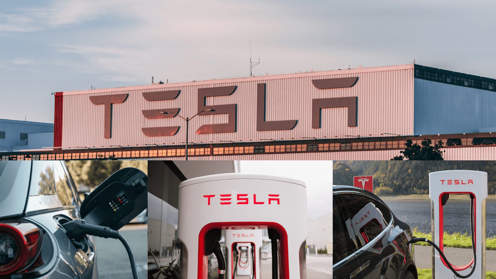 Tesla Car owner